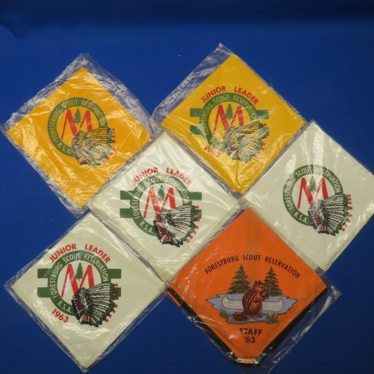 Monmouth Council Camp Forestburg Patches