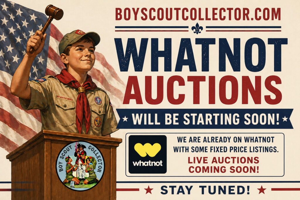 Boy Scout Collector What Not Auctions