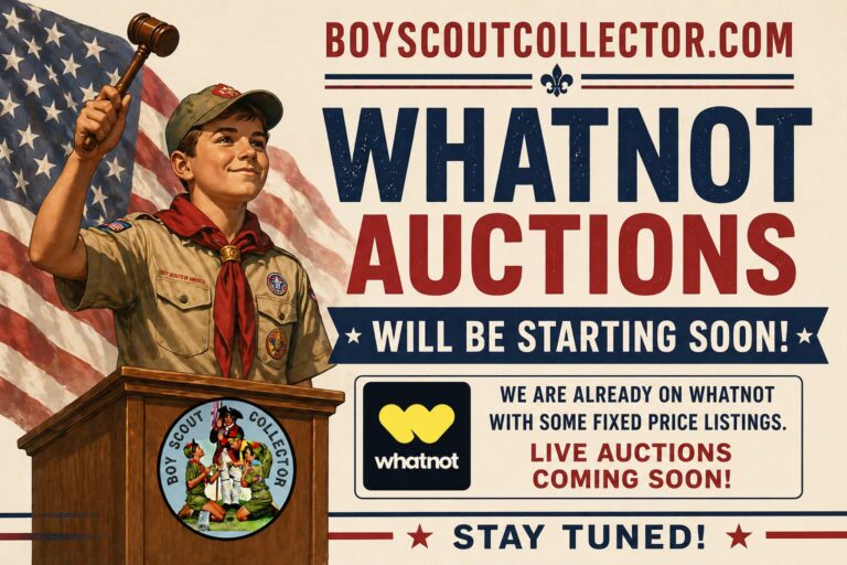 Boy Scout Collector What Not Auctions